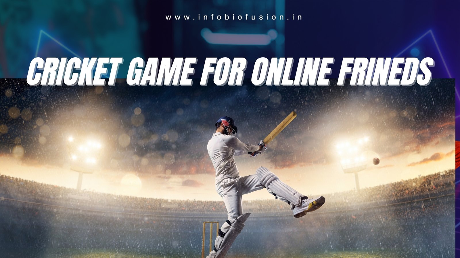 Play Cricket With Online Friends By 005