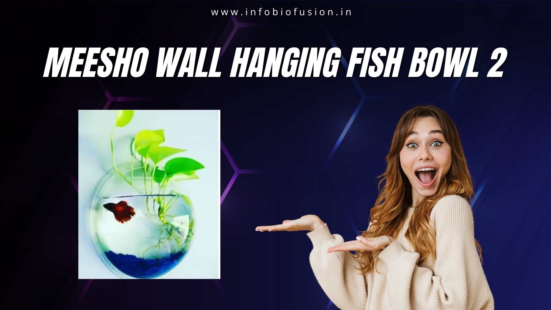 Meesho Wall Hanging Fish Bowl By 623
